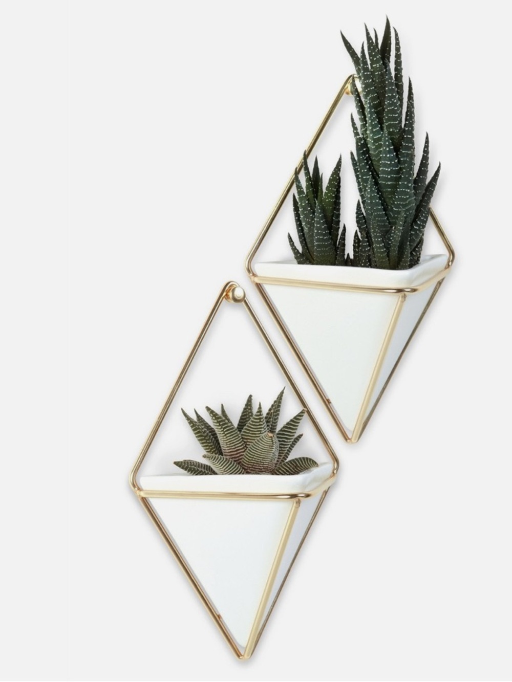 Hardly Used: Umbra 262800 Trigg Hanging Planter & Geometric Wall Decor Set of 4